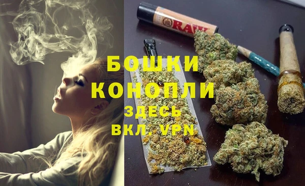 гидра Алексеевка
