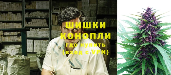 гидра Алексеевка