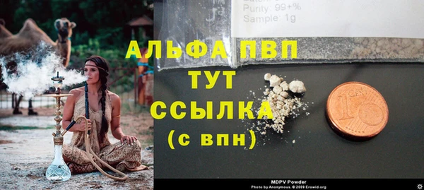 стаф Зеленодольск
